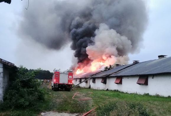Ogromny pożar w Sierpcu. Strażacy: „To będzie długa noc…” [FILM]