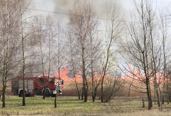 Duży pożar w Płocku. W akcji 6 zastępów straży pożarnej [ZDJĘCIA]