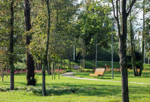Kiedy w Płocku powstaną nowe parki? I gdzie planowany jest największy?