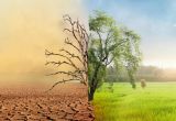 Zmiany klimatyczne a rolnictwo