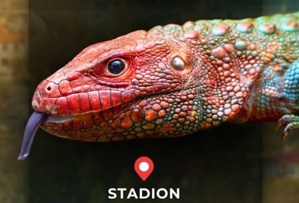 EXOTICARIUM LOKALNIE - Targi Terrarystyczne w Płocku