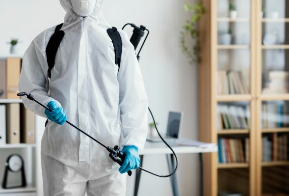 Skuteczne zwalczanie prusaków w Warszawie: przegląd kompleksowych rozwiązań