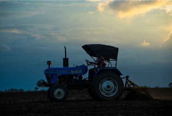 Droga do zawodu rolnika – jak zdobyć kwalifikacje i jakie są możliwości?     