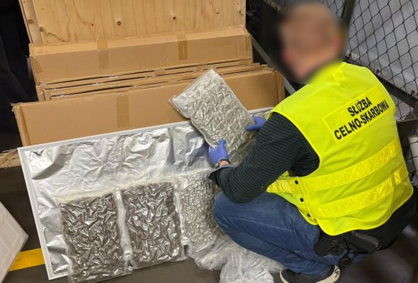 KAS udaremniła przemyt 90 kg marihuany. Narkotyki były w panelach ledowych